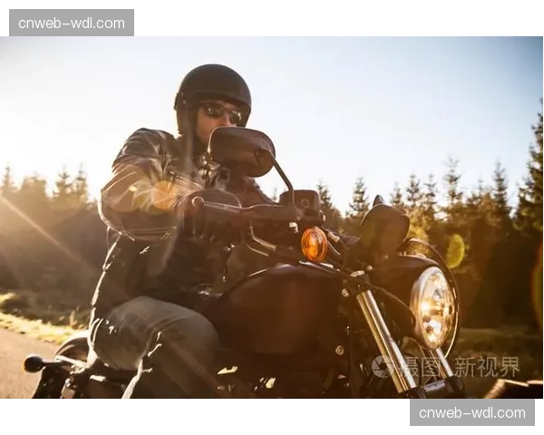 荷兰法院裁定,一起造成骑手重伤的林道事故,土地所有者需承担部分责任